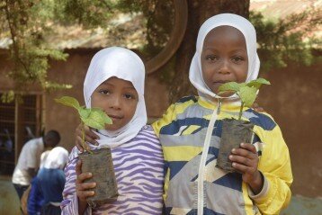 Friends of Usambara Society - Usambara Biodiversity Conservation Tanzania.jpeg