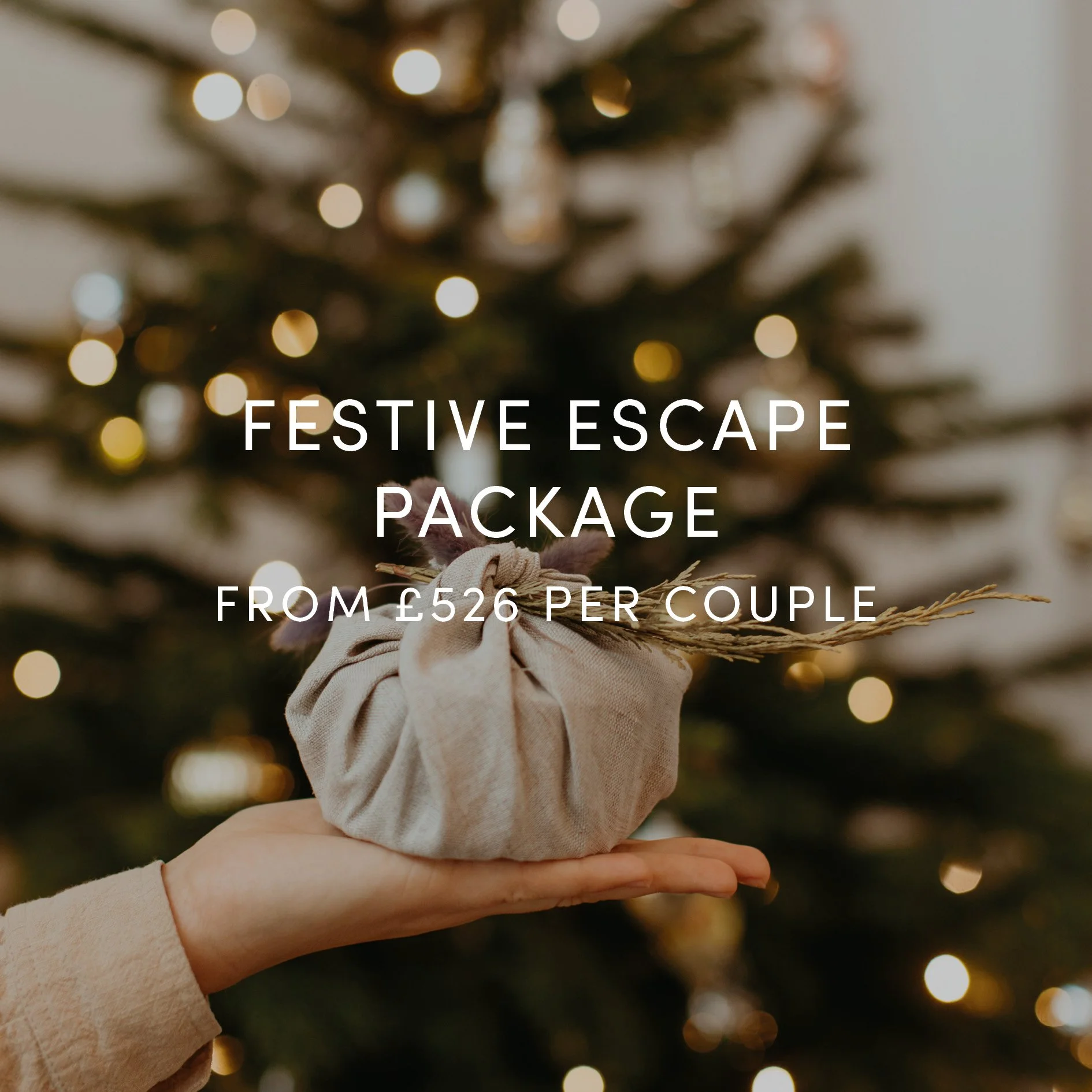 OI Festive Escape.jpg