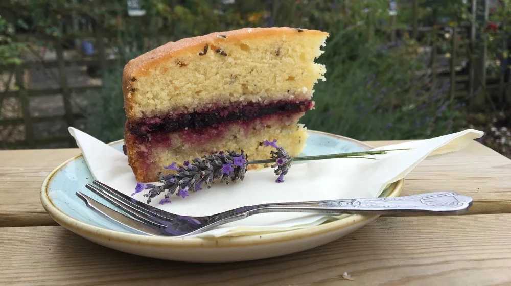 lavender_cake_herb_farm.jpg