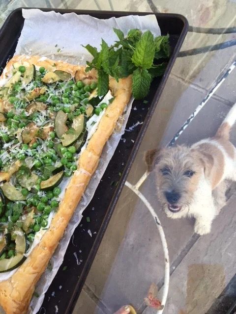 Approved by our dog, Herbert!