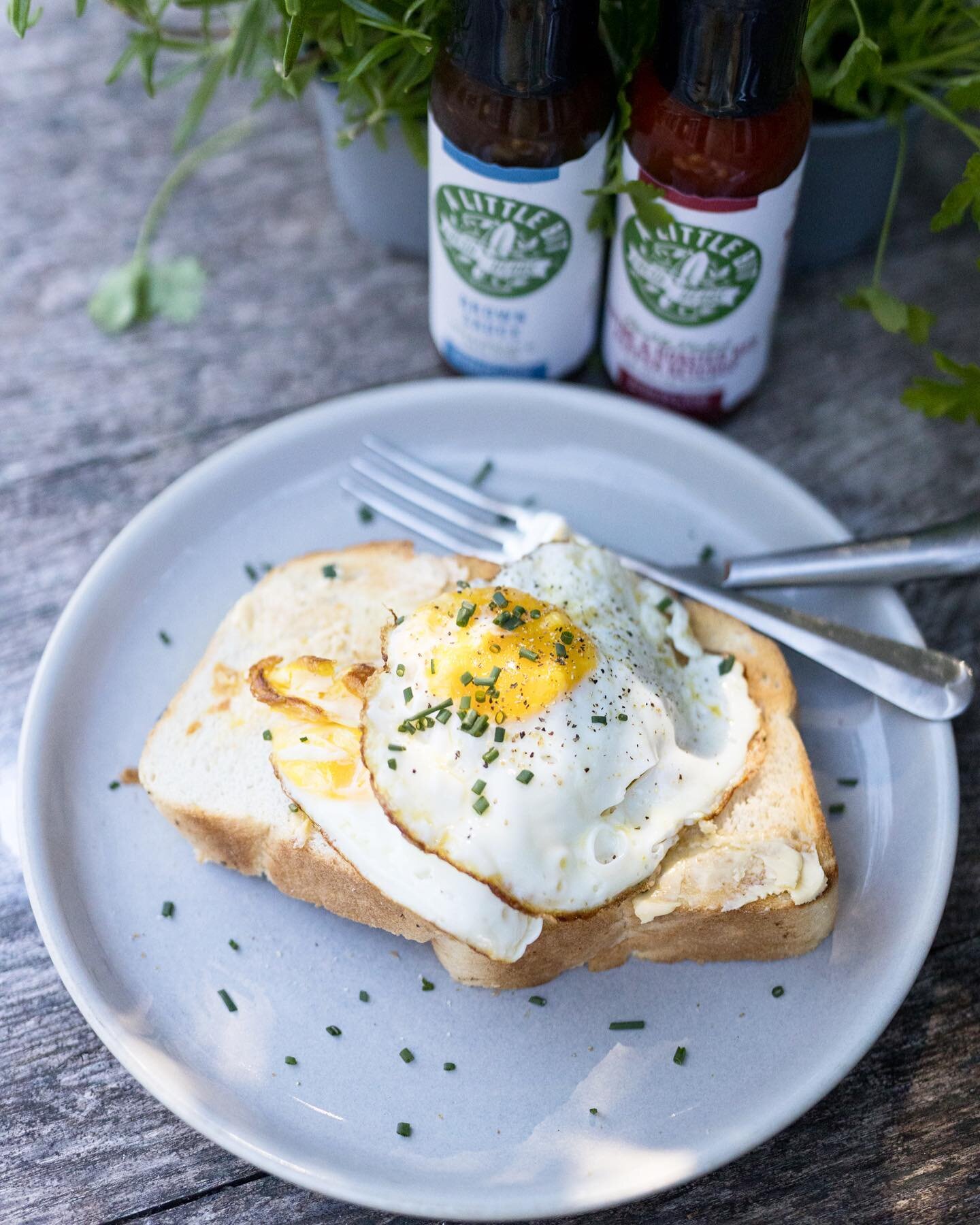 Complete your breakfast dishes with a little bit of magic and try our versatile Rosemary Ketchup, or (for the brown fans) our new Brown Sauce made with a hint of Thyme. 

Now are you a brown, or red sauce kinda guy? 👇

#alittlebit #brownsauce #break