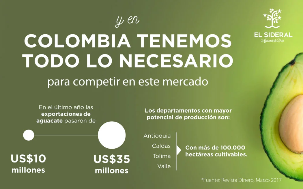 Imagen-8.jpg