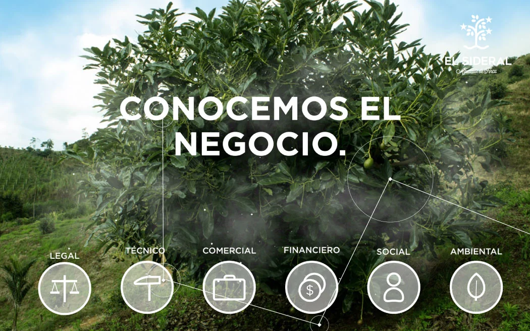 Imagen-7.jpg