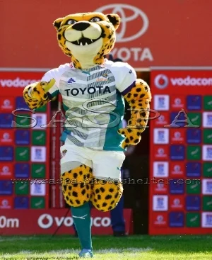 cheetahs mascot.jpg