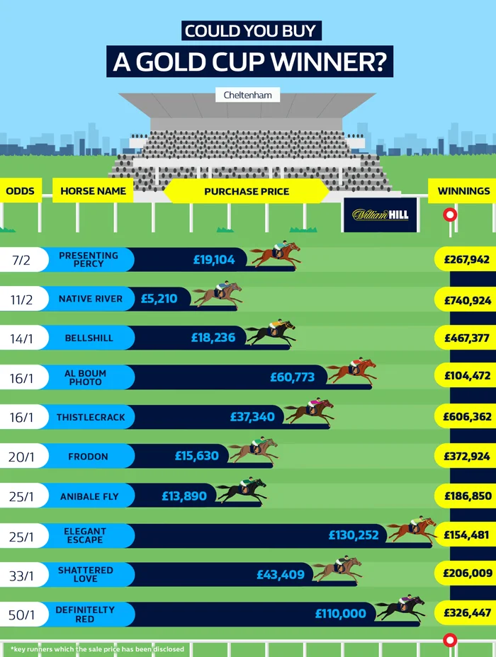 cheltenham gold cup winner.jpg