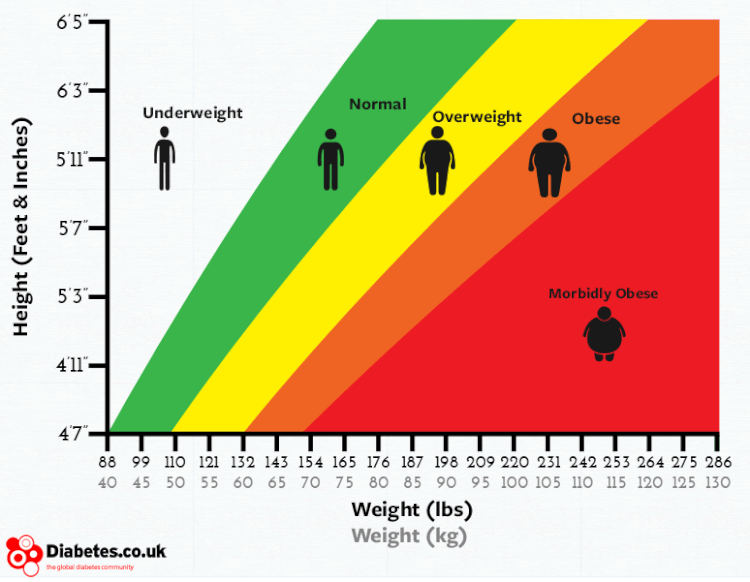 BMI Chart.gif