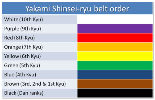 The Path to Black Belt: The Karate Belt Ranking System and Belt Order ...