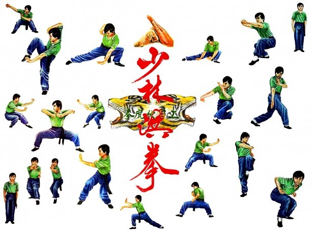Animal Kung Fu: The 5 Animal Styles of Kung Fu — The Sporting Blog