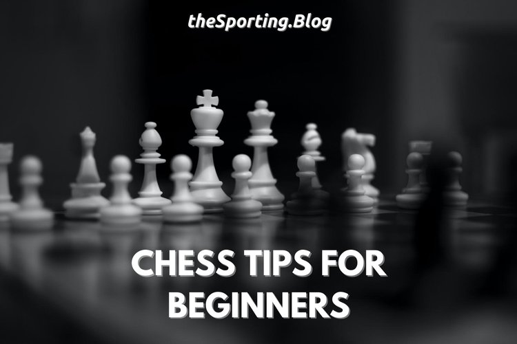 Steemit Chess Game Style Tips for the Neophytes ( Or for lack of a easier  word newcomer ) 5 Quick Tips!!! — Steemit