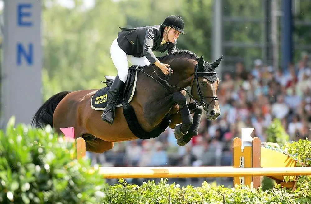 The 11 Best Jumping Horse Breeds — The Sporting Blog