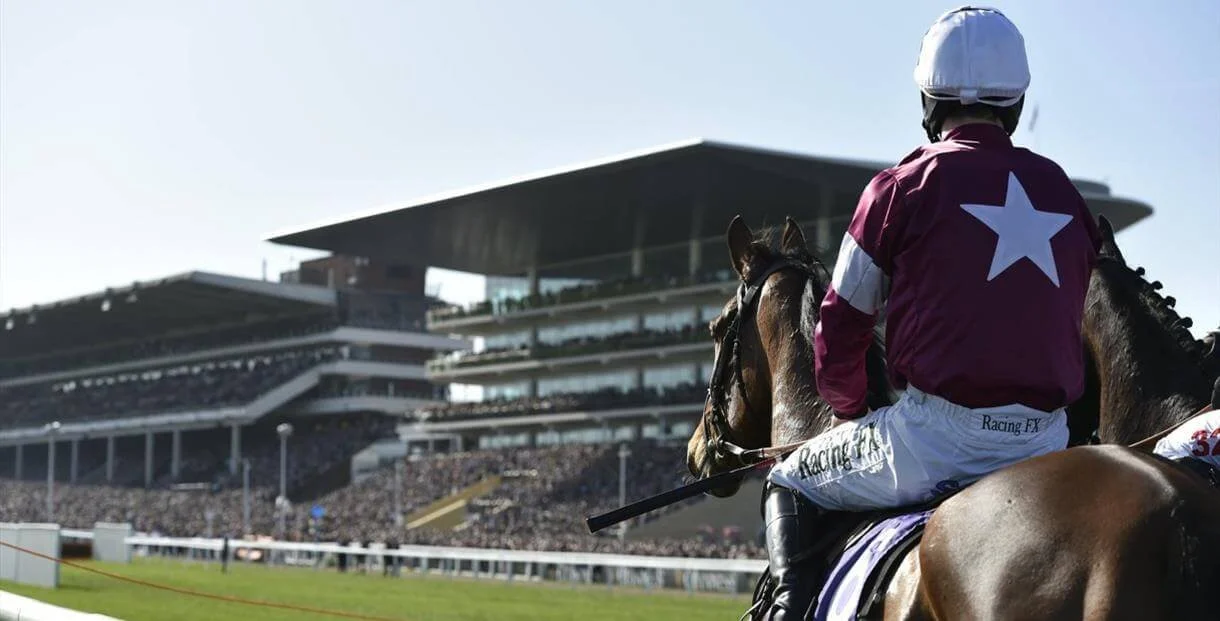 The Enduring Challenge of Cheltenham: A Test of Horse and Rider