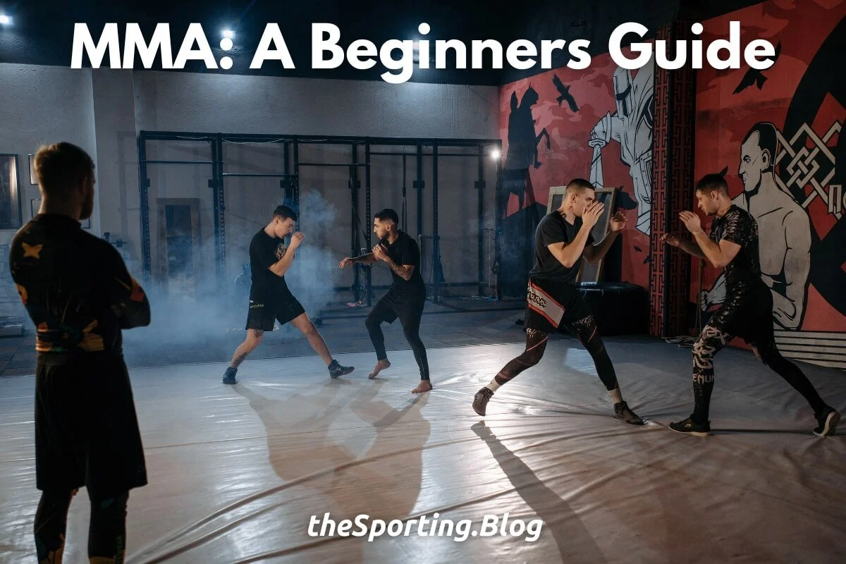 MMA for Beginners A Concise Beginners Guide To Mixed Martial Arts