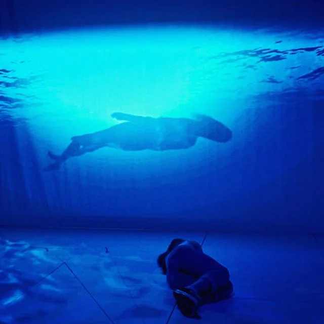 There’s a new blog post on the ReAction Theatre website (link in Bio) about working with the incredible RMIT School of Design for our most recent technical creative development of ‘Les Mystères du Louvre.’ .
.
.

#lesmysteresdulouvre #reactiontheatre #newwork #projectionmapping #theatre #newaustralianwork #Rmit #RmitSchoolofDesign #RMITUniversity #louvre #french #france #bilingual #leradeaudelameduse #gericault