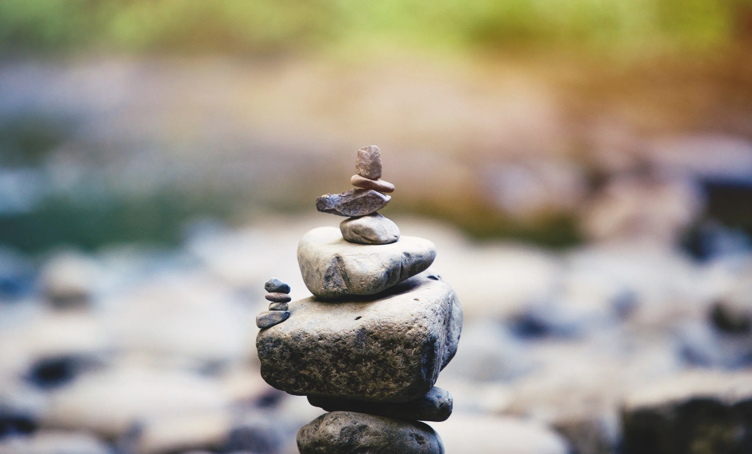 Wellness balance.jpg