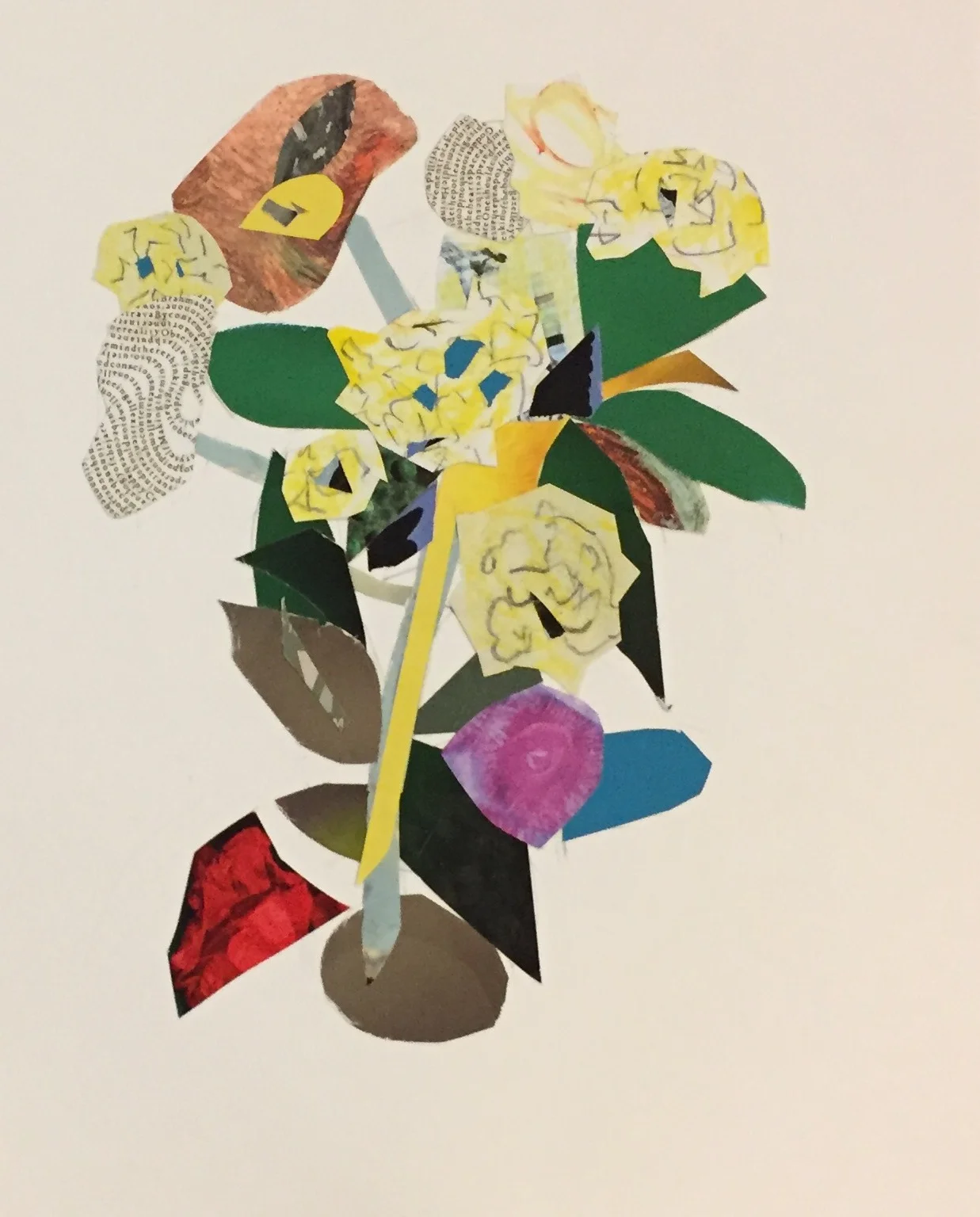 Hydrangeas