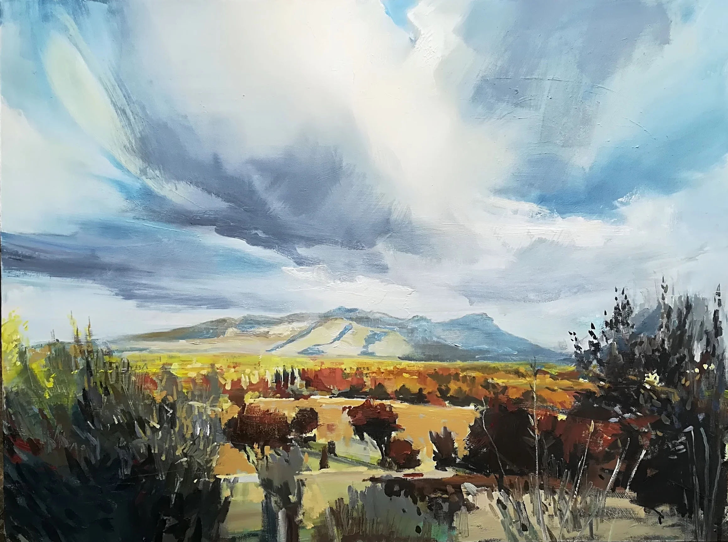 IMG_20171001_130854.jpg