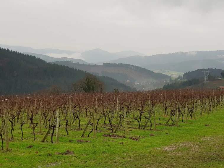 Baskimaa,  Rioja ja Navarra Huikea Pohj Espanja golfmatka siirretty vähäisen osanoton vuoksi