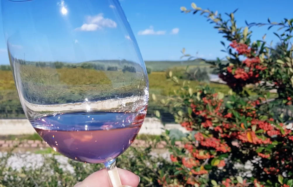 Toiveuusinta: Viinimatka Apuliaan ja Basilicataan 2.-9.11.2019