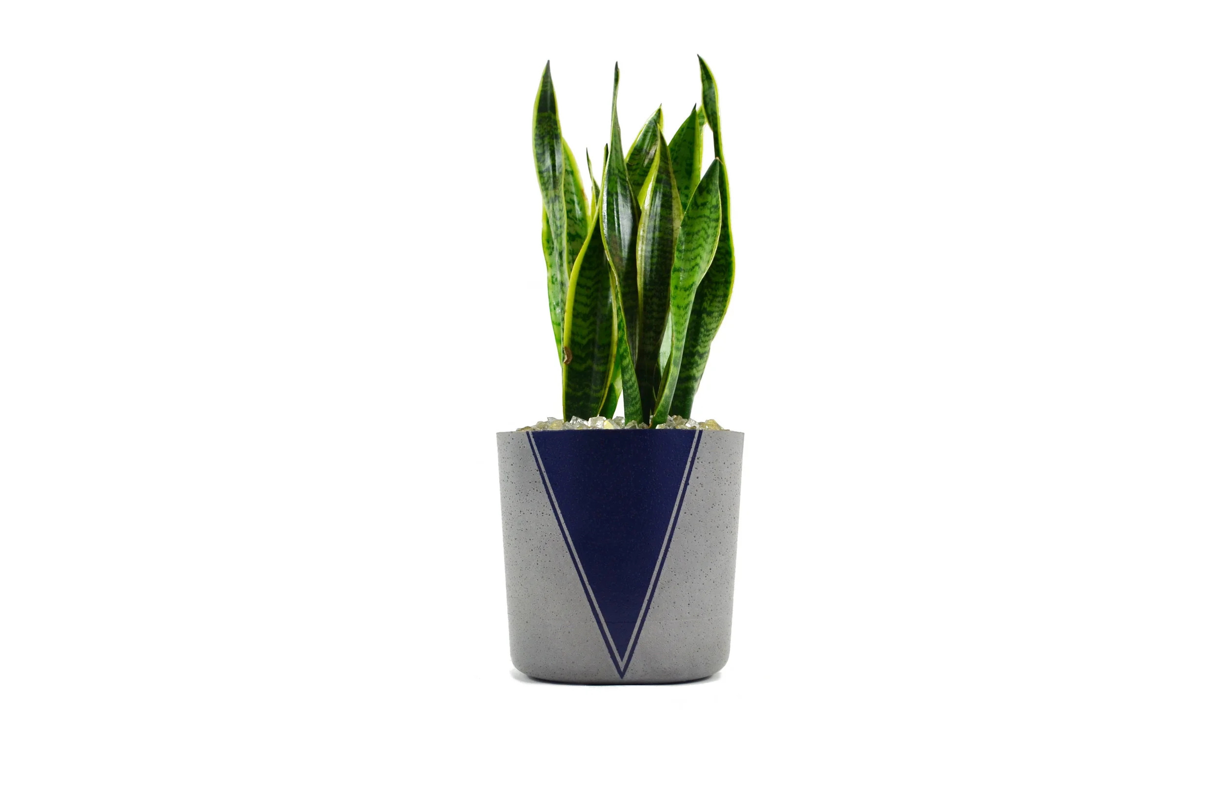 jane_navy_blue_front.jpg