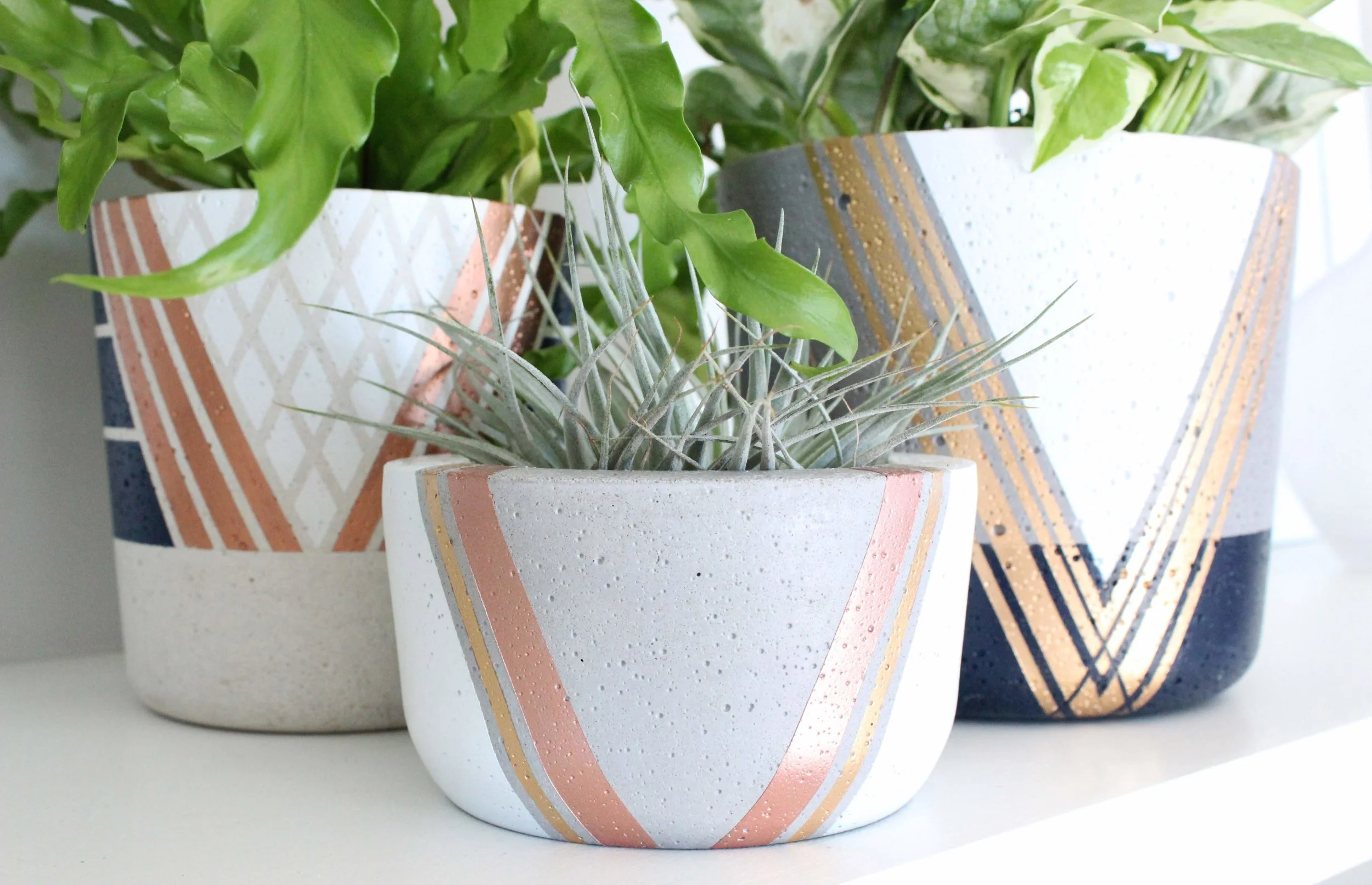 ShelfStyling_MultipleUpClose3.jpg