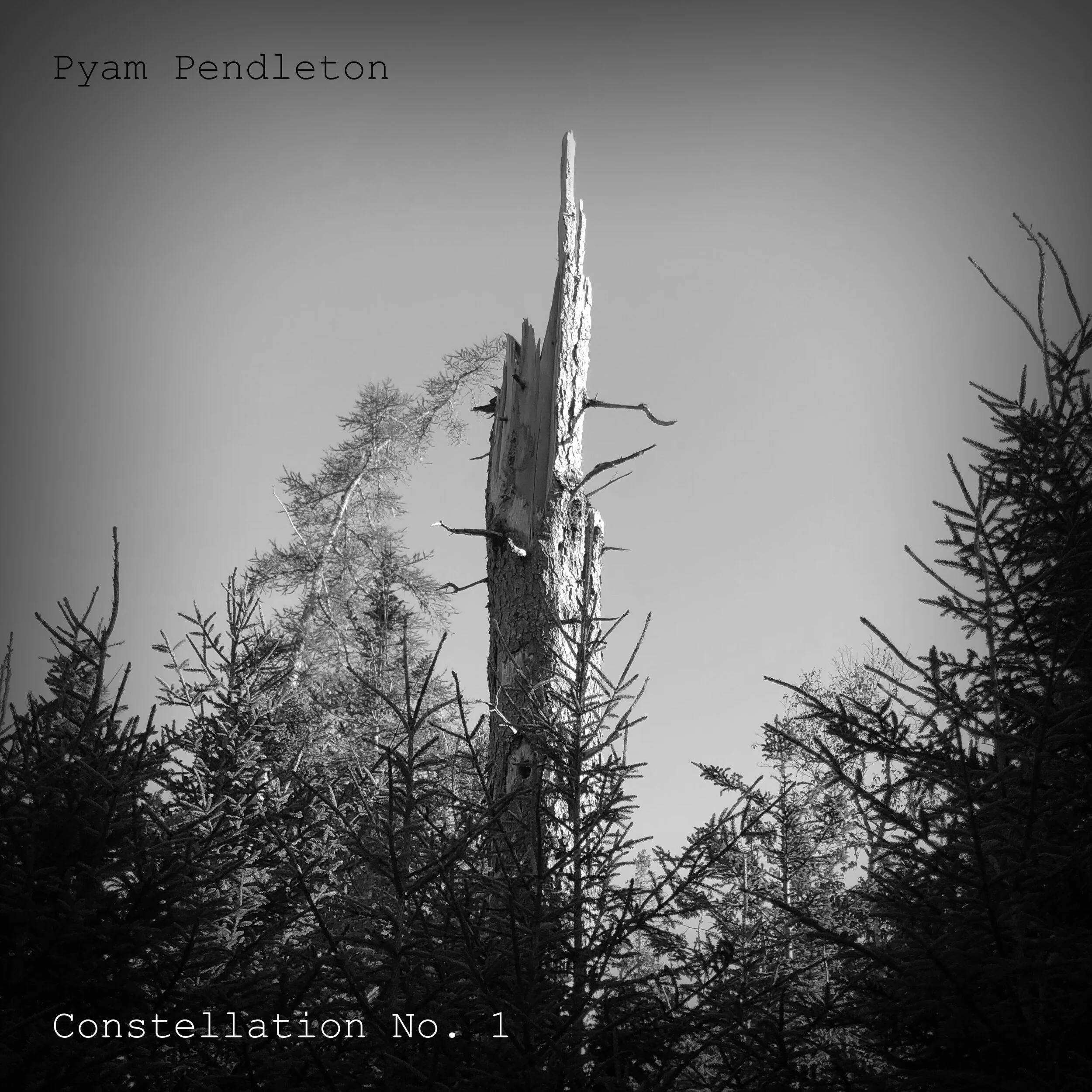 ConstellationNo1.jpg