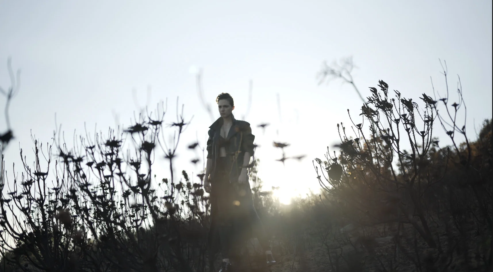 Screen Shot 2017-04-20 at 09.27.37 copy.jpg