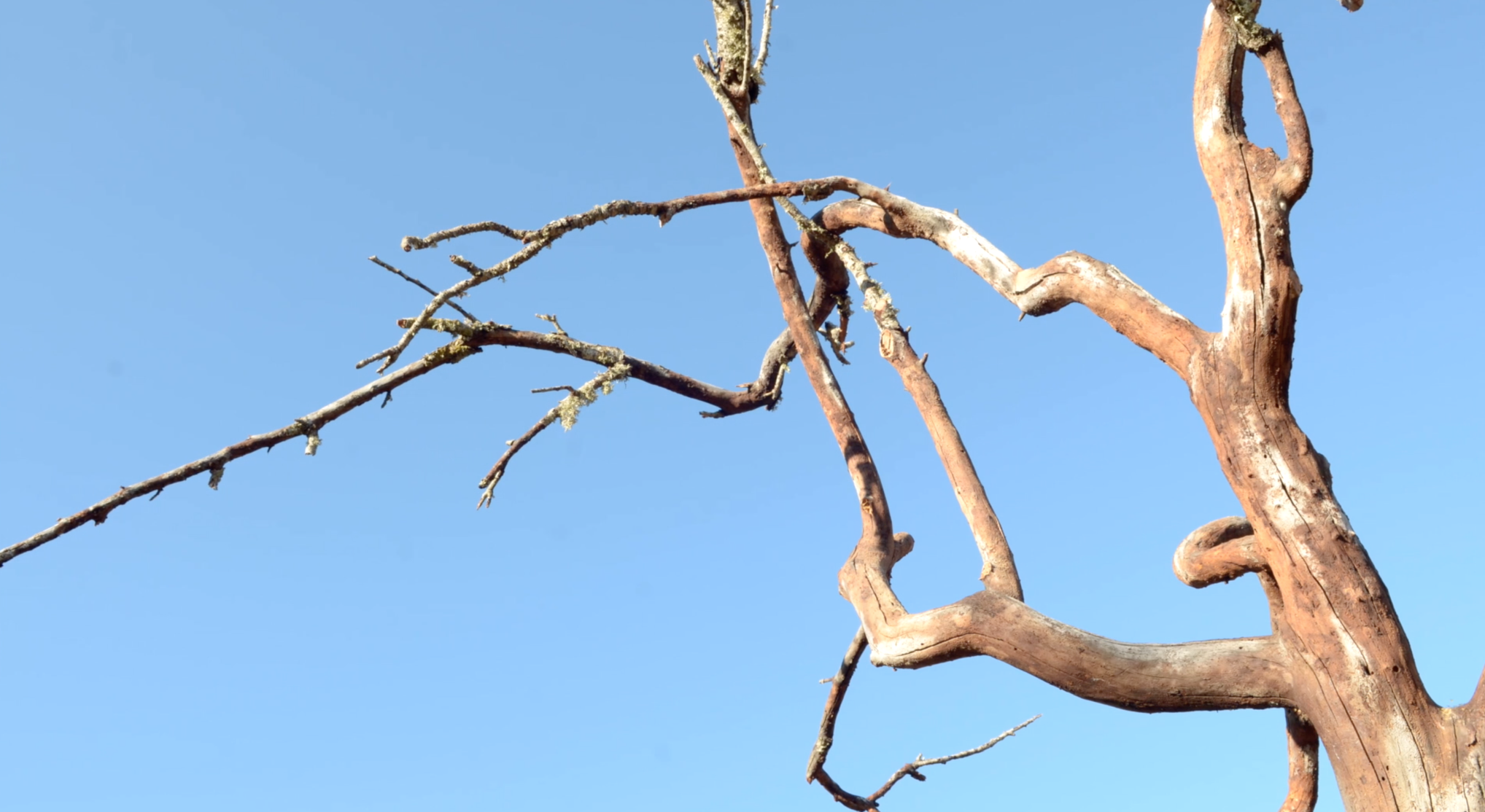 Screen Shot 2017-05-12 at 12.11.32_preview.png