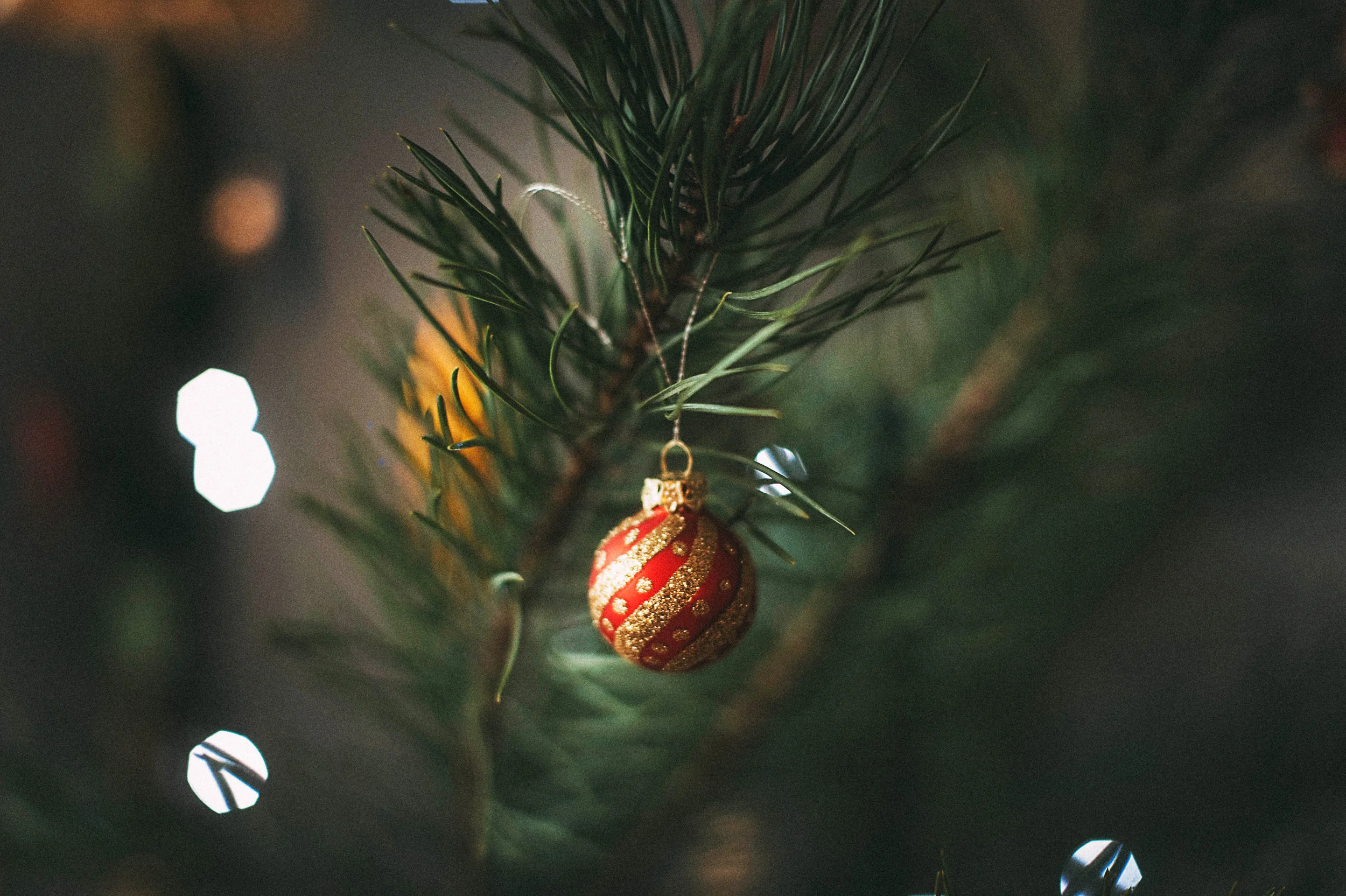 Each year I add a new decoration to my tree but much of what I decorate with is natural