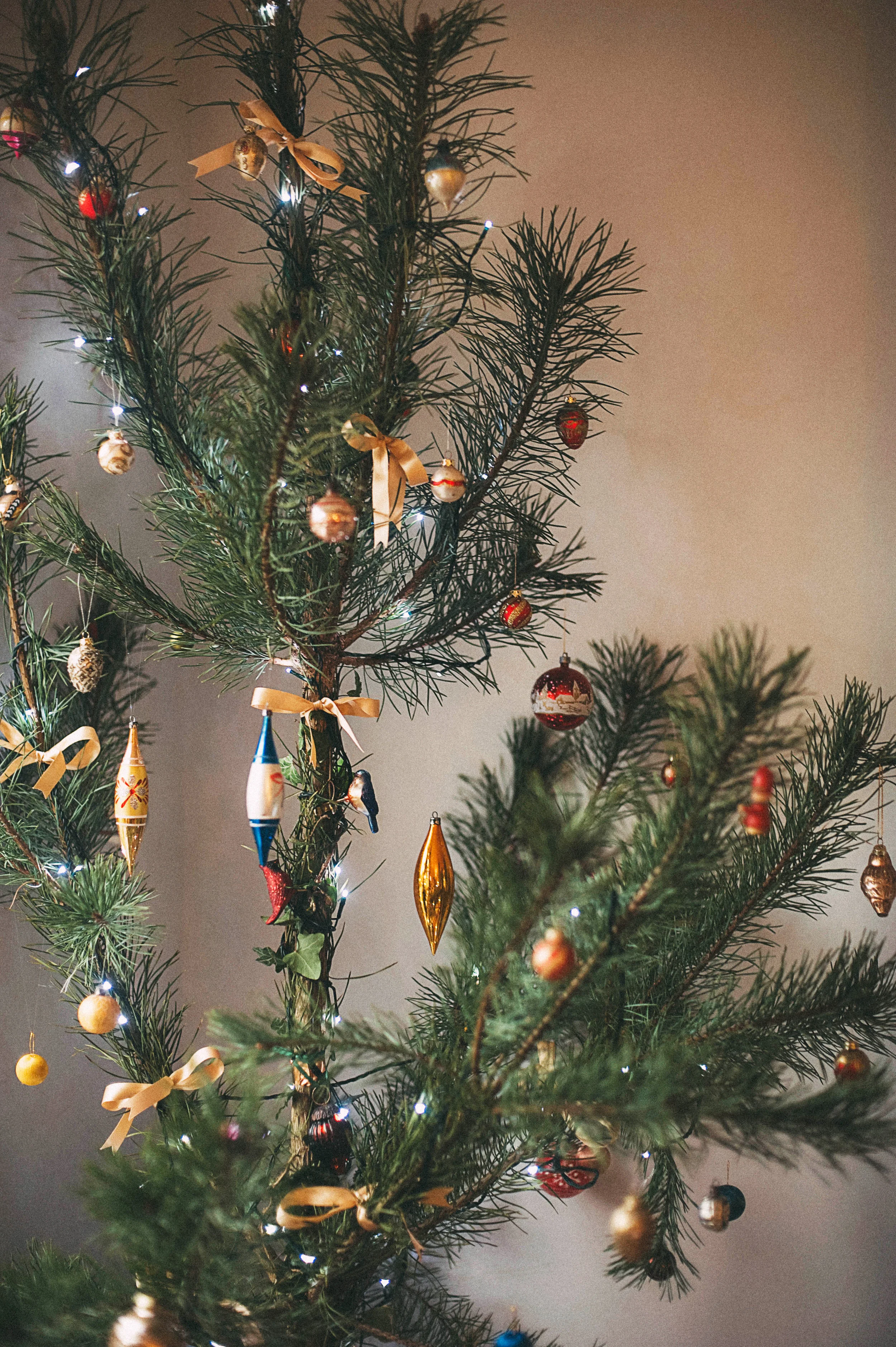 Last years tree captured beautifully by Lulu