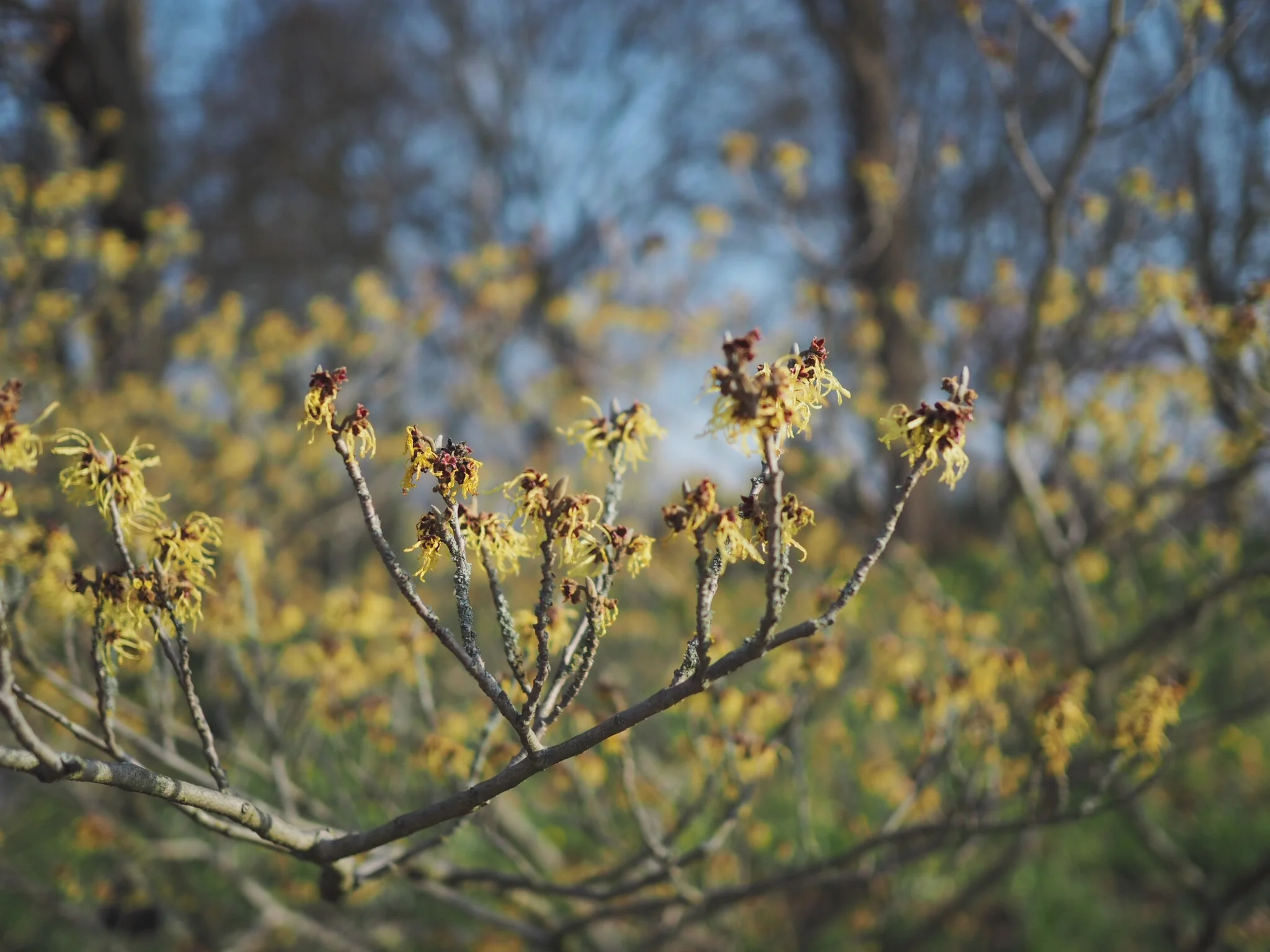 Sharing tips in my blog about how to live more sustainably
