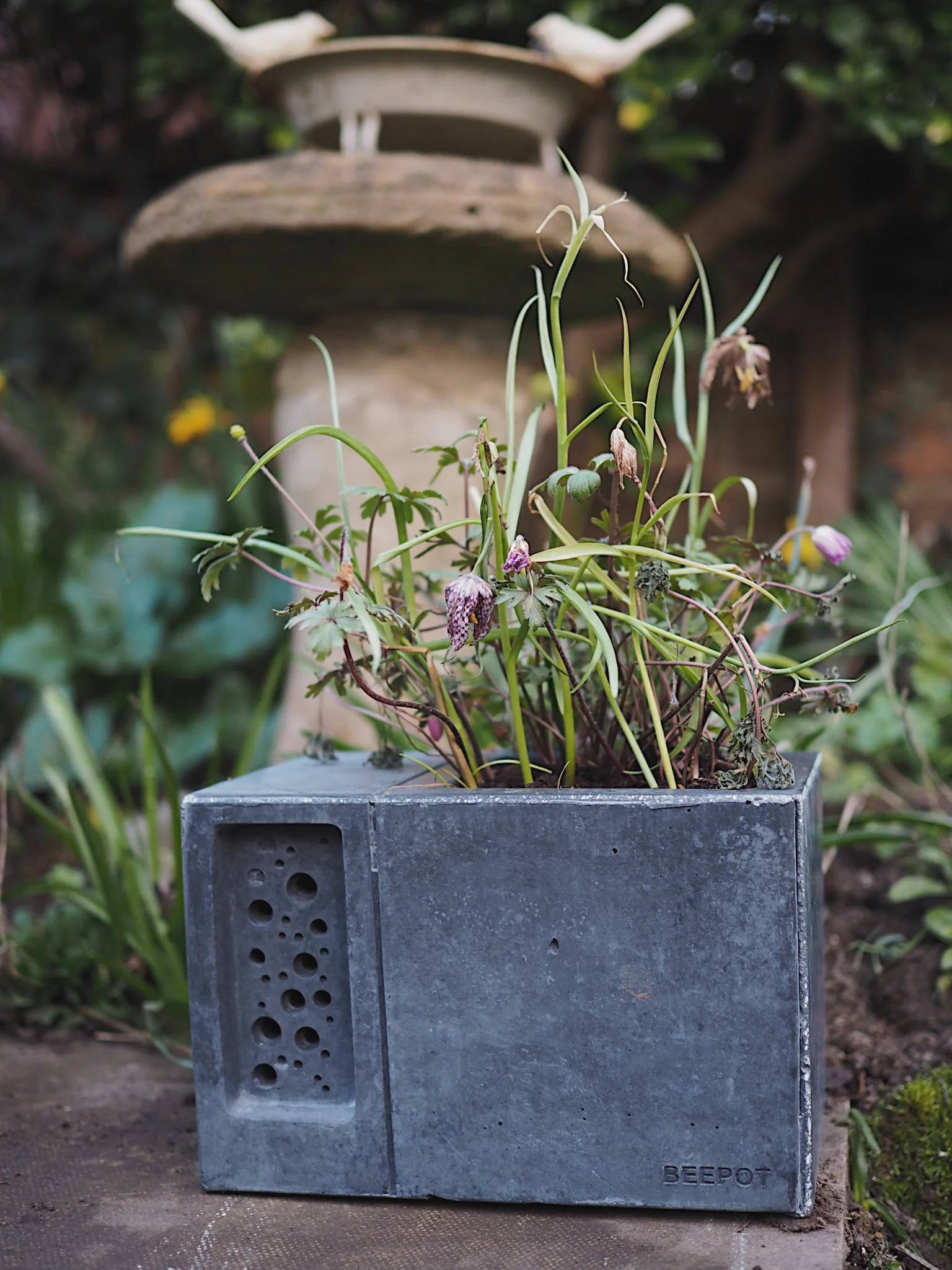 living life in a more sustainable way
