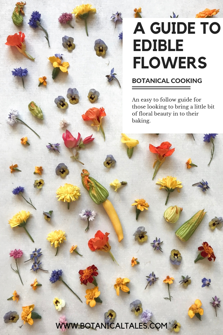 Edible Flower Guide - Proven Beauty