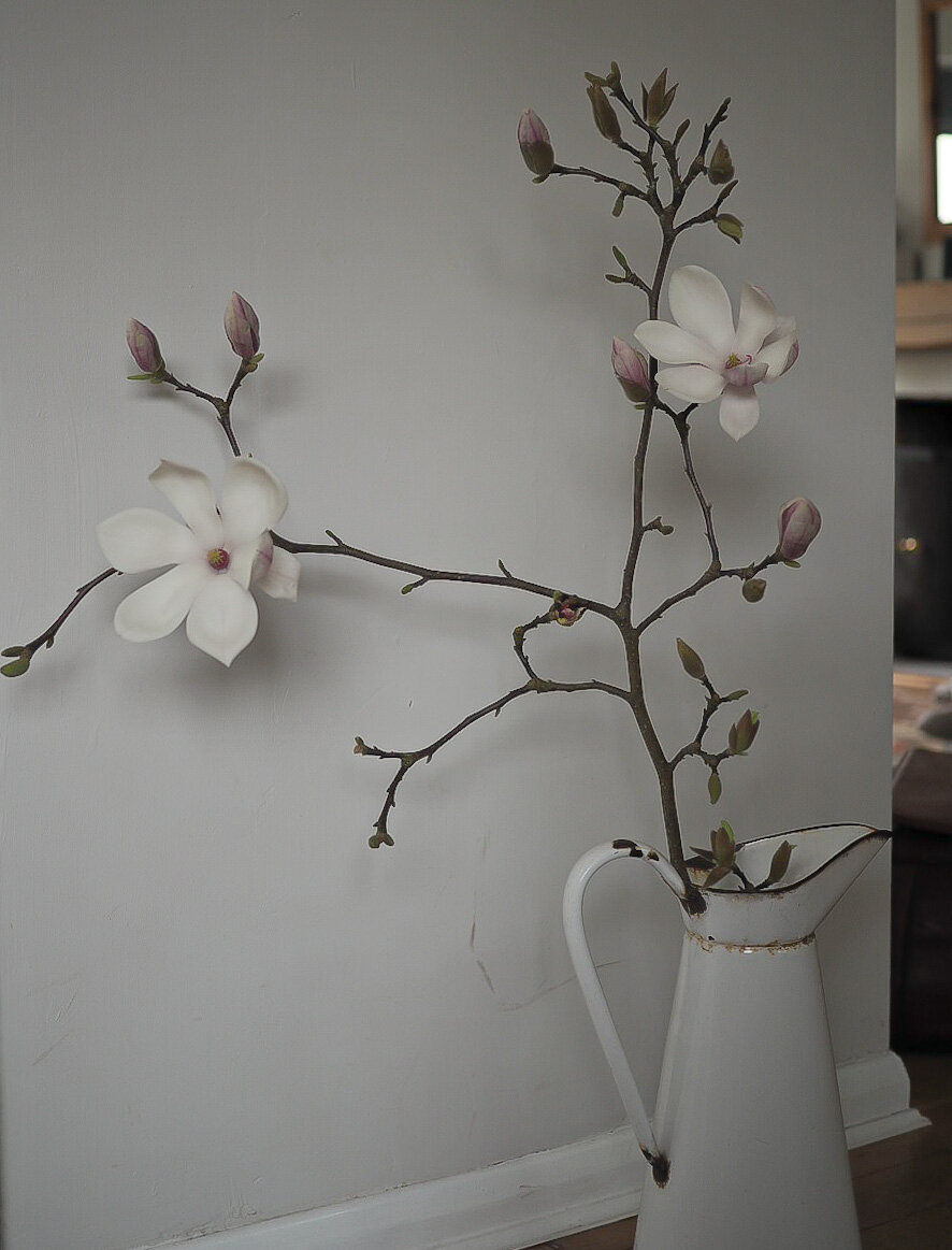 Forcing magnolia branches