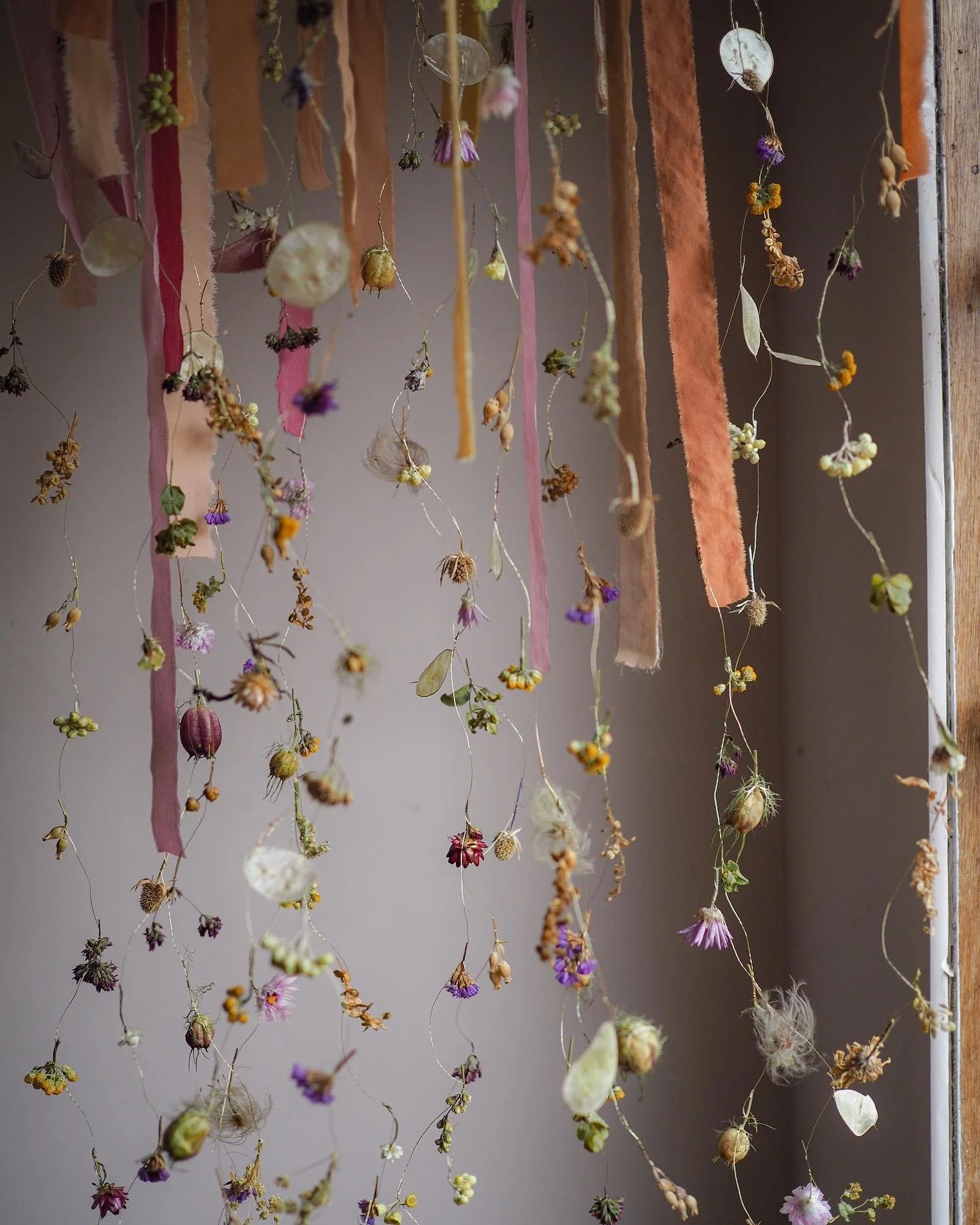 B63EECC8-7520-42C2-9EF2-D0023CAA94F0 2.JPG