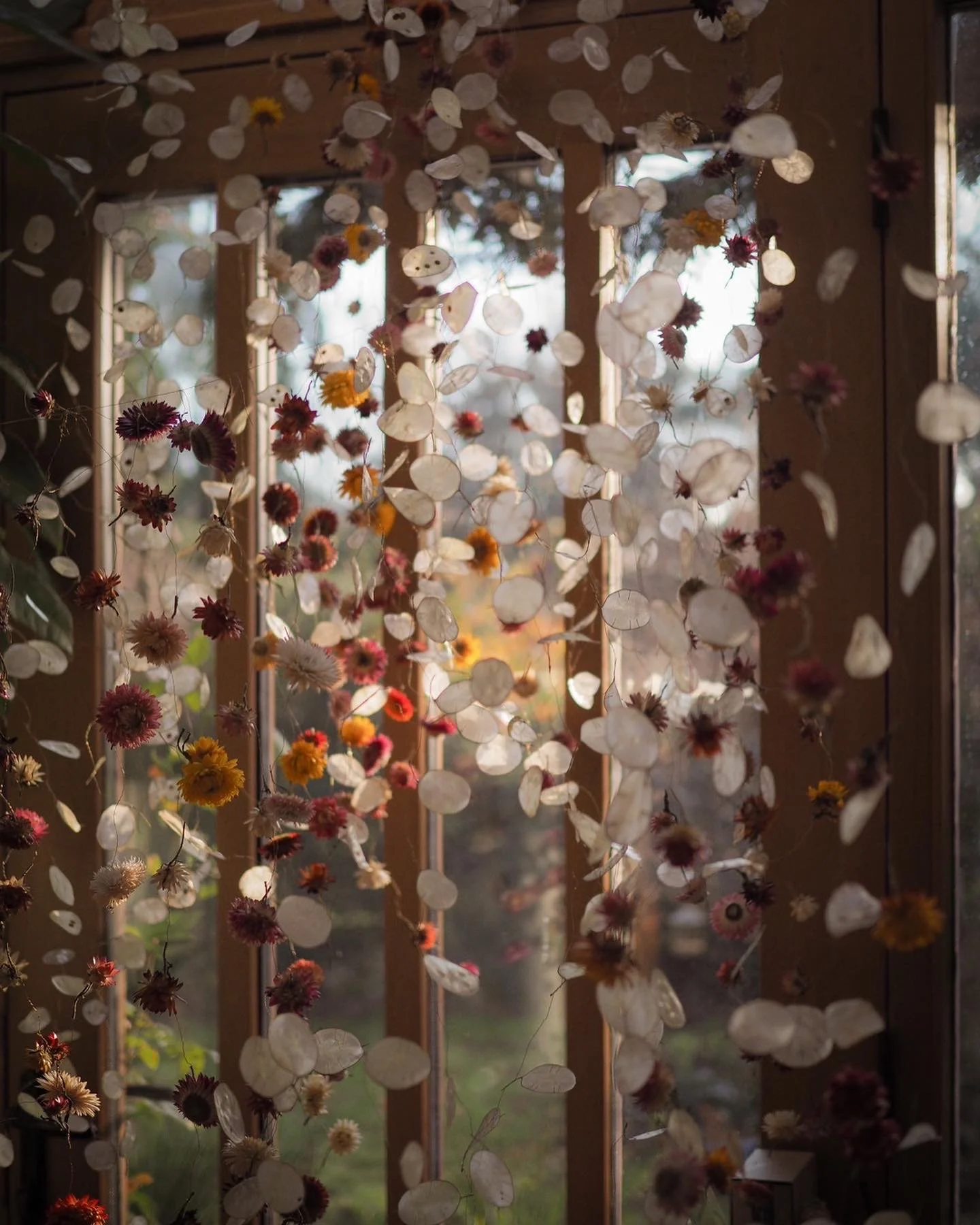 Strawflower Flower Strings