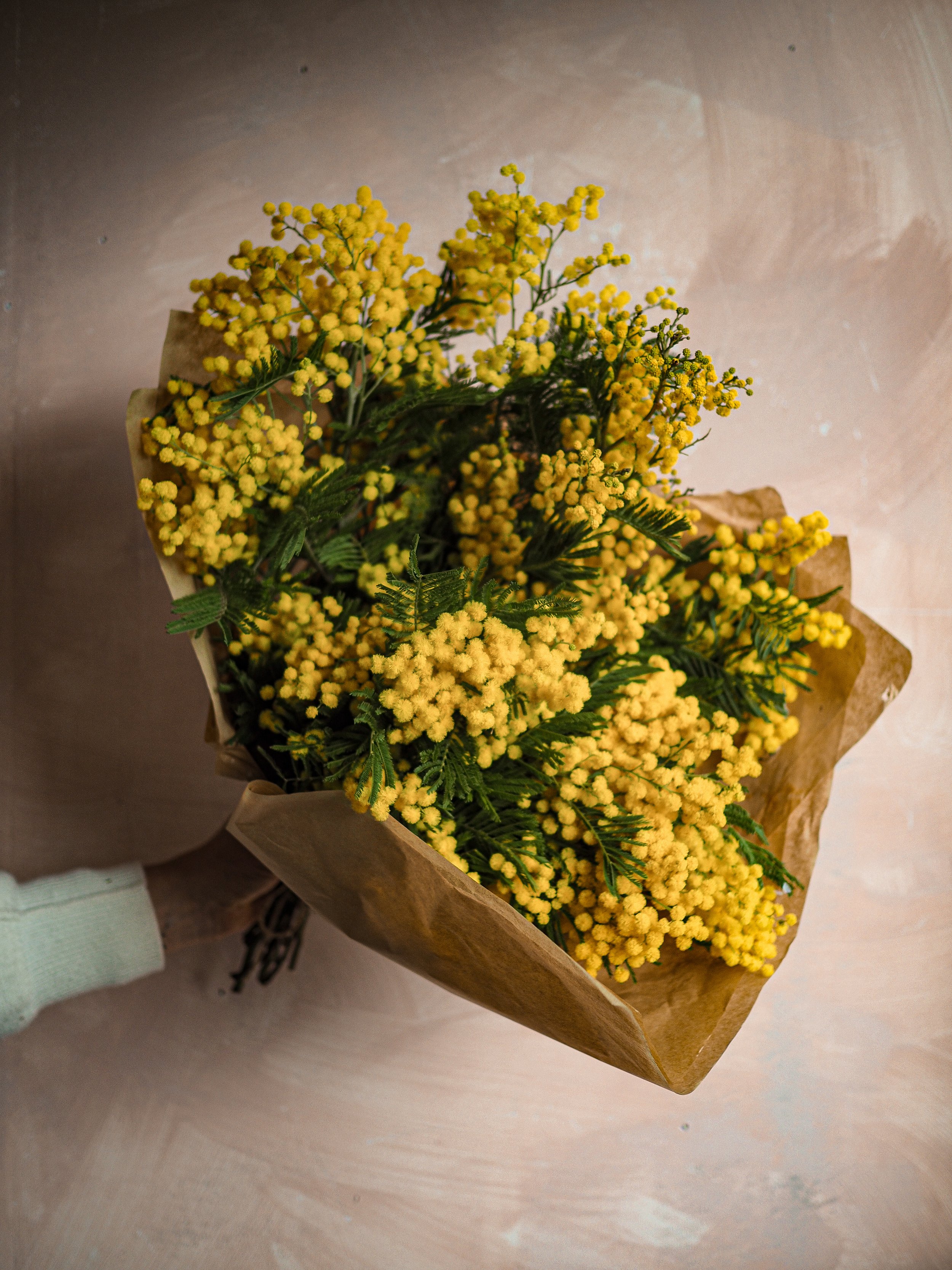 For the love of Mimosa Bunches