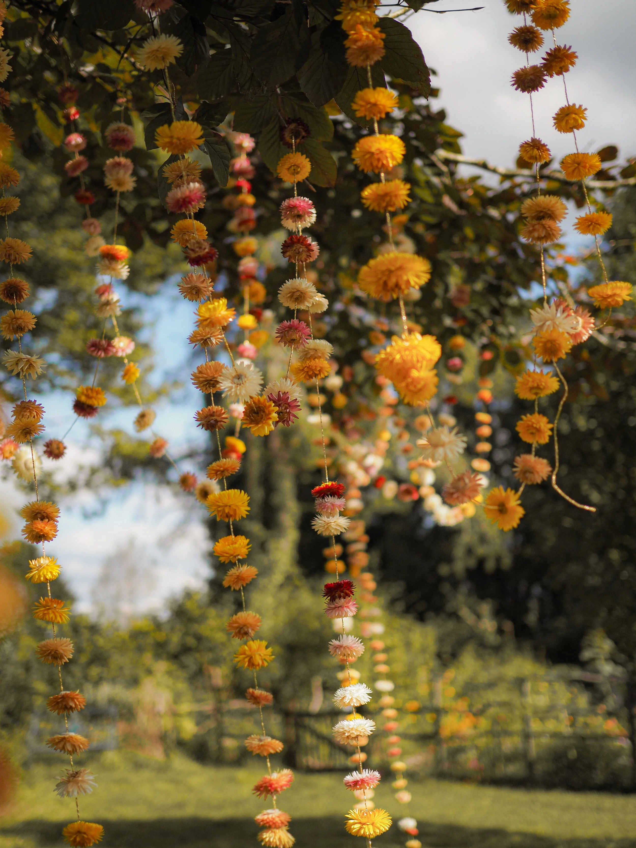 Dried Flower Garlands of Joy