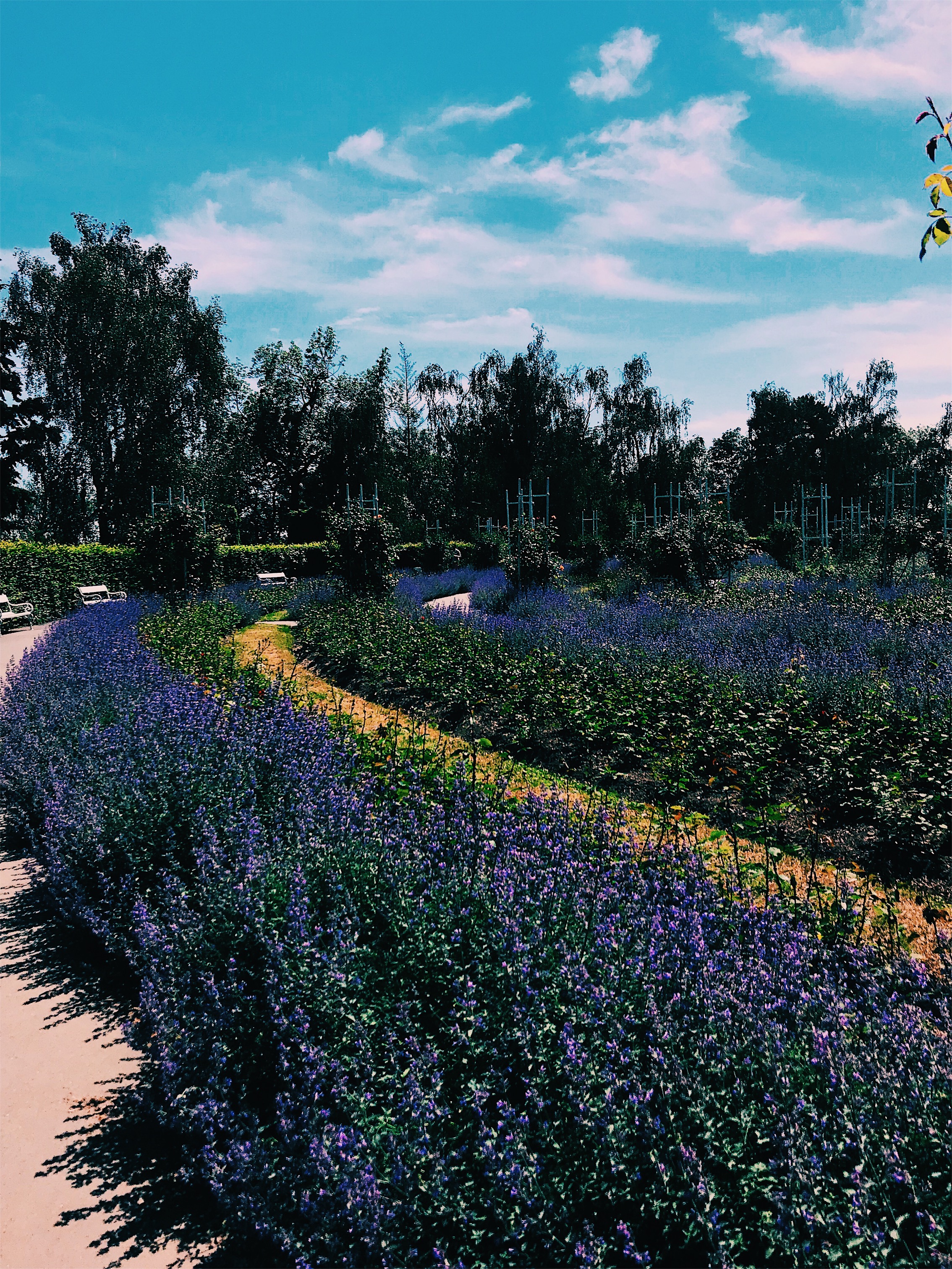 Gardens in Petrín Park