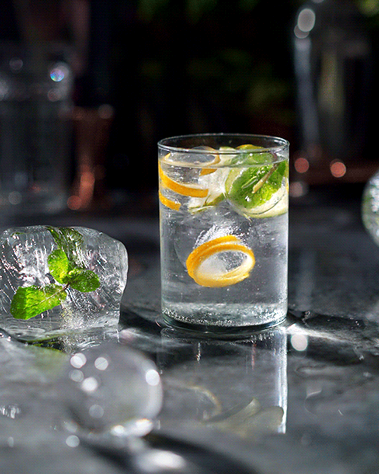 A glass of clear sparkling water with lemon and lime slices and fresh mint leaves, surrounded by ice cubes, on a dark reflective surface.