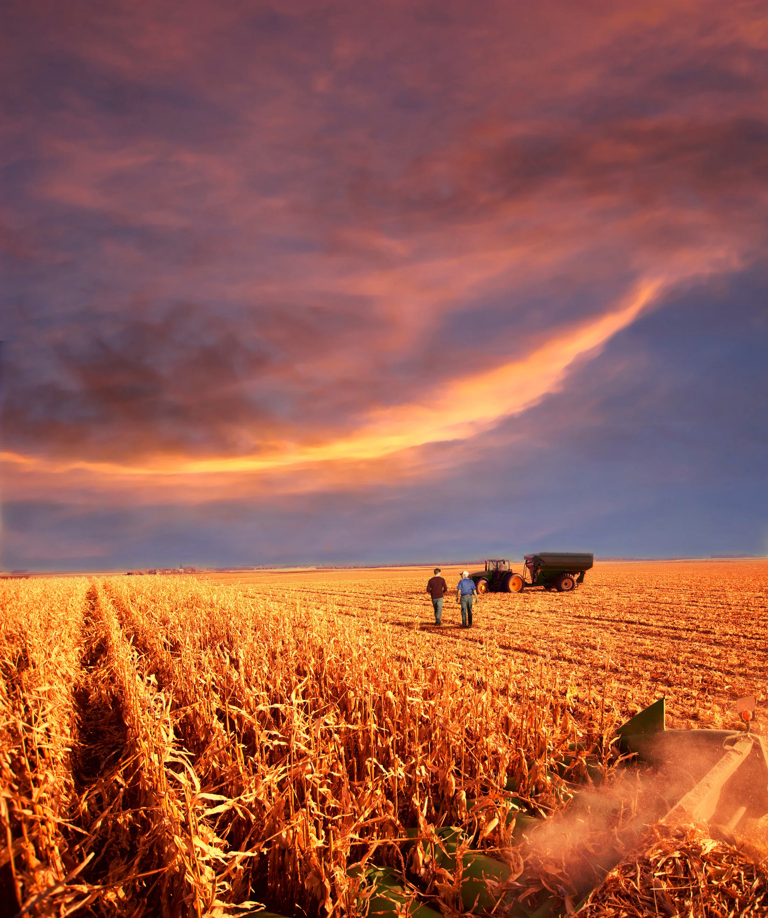 Corn_harvest_wGuys.jpg