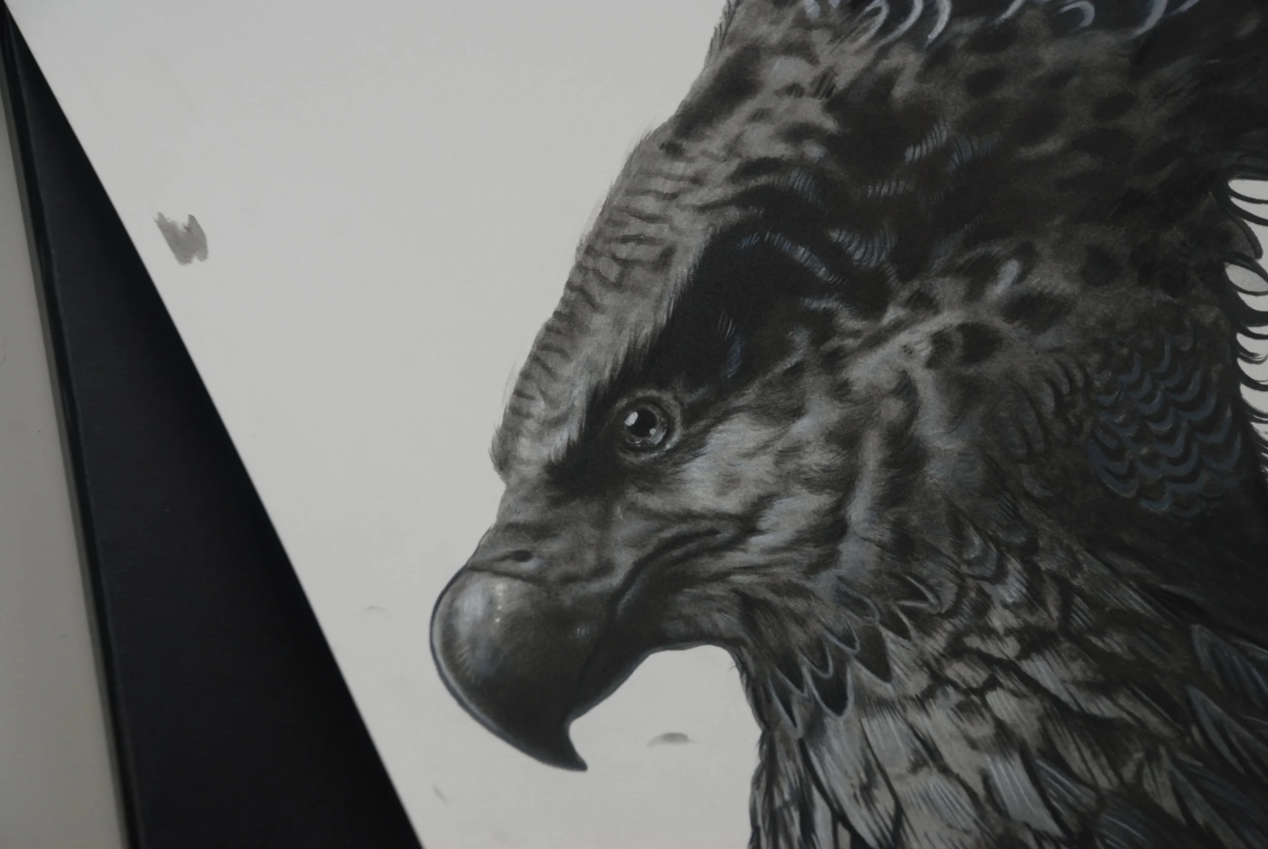 image 2 Pheonix Painting Process.JPG