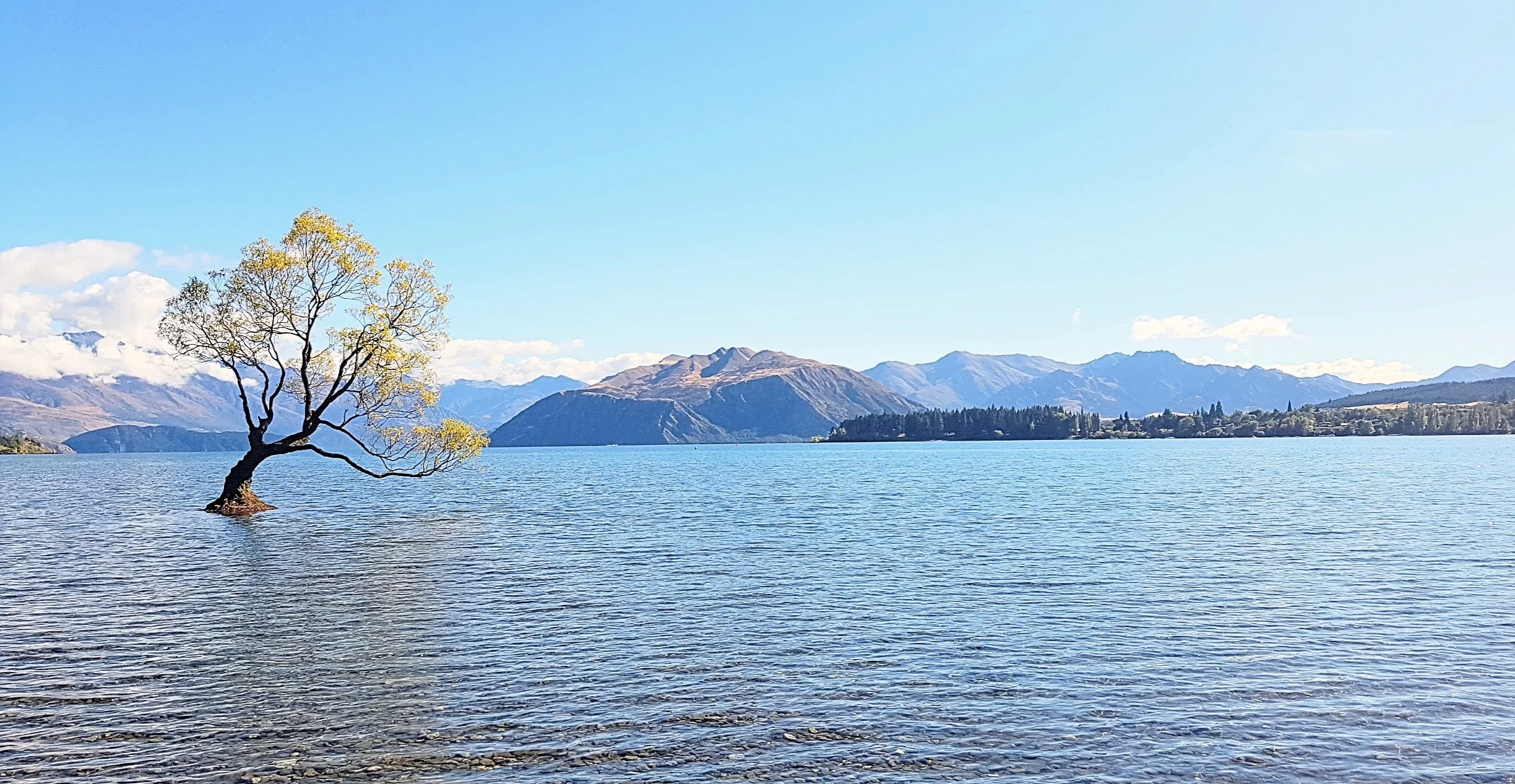 Crédit image: Edgewater Lake Wanaka
