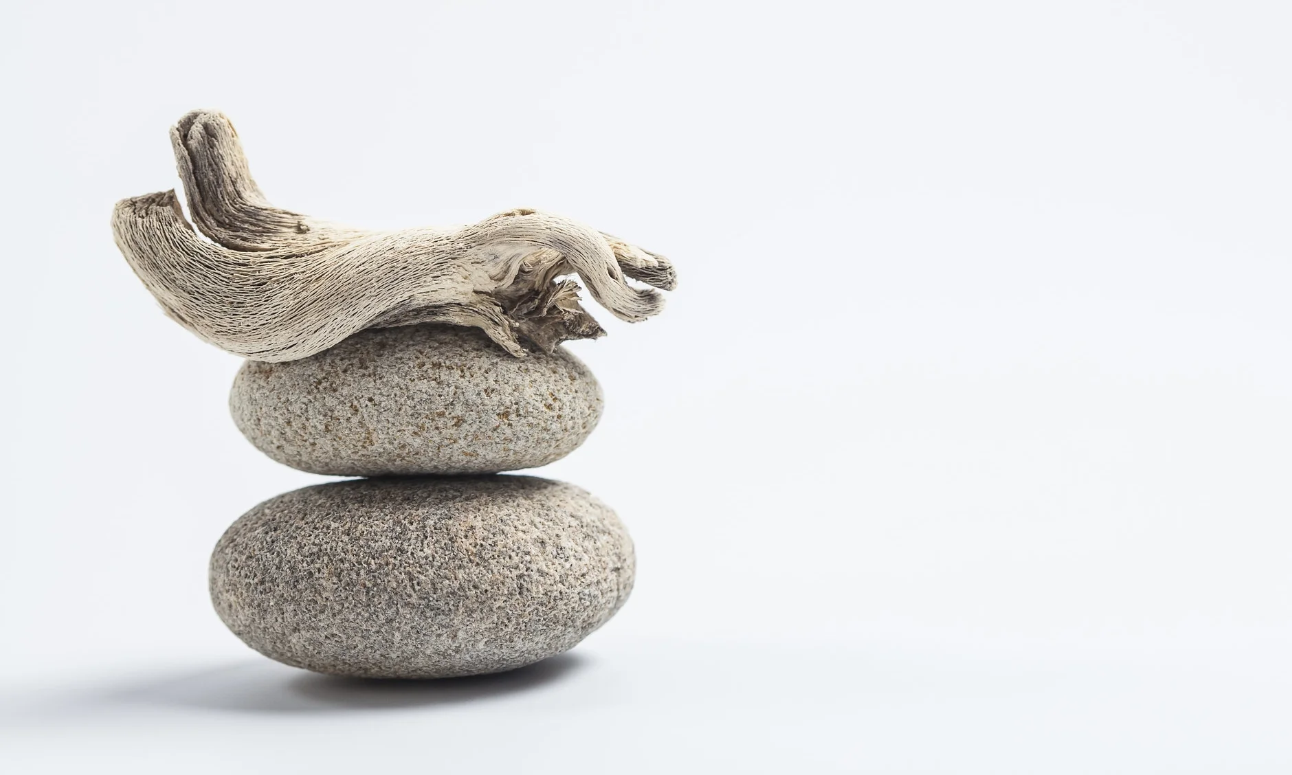 iStock-475239637.jpg