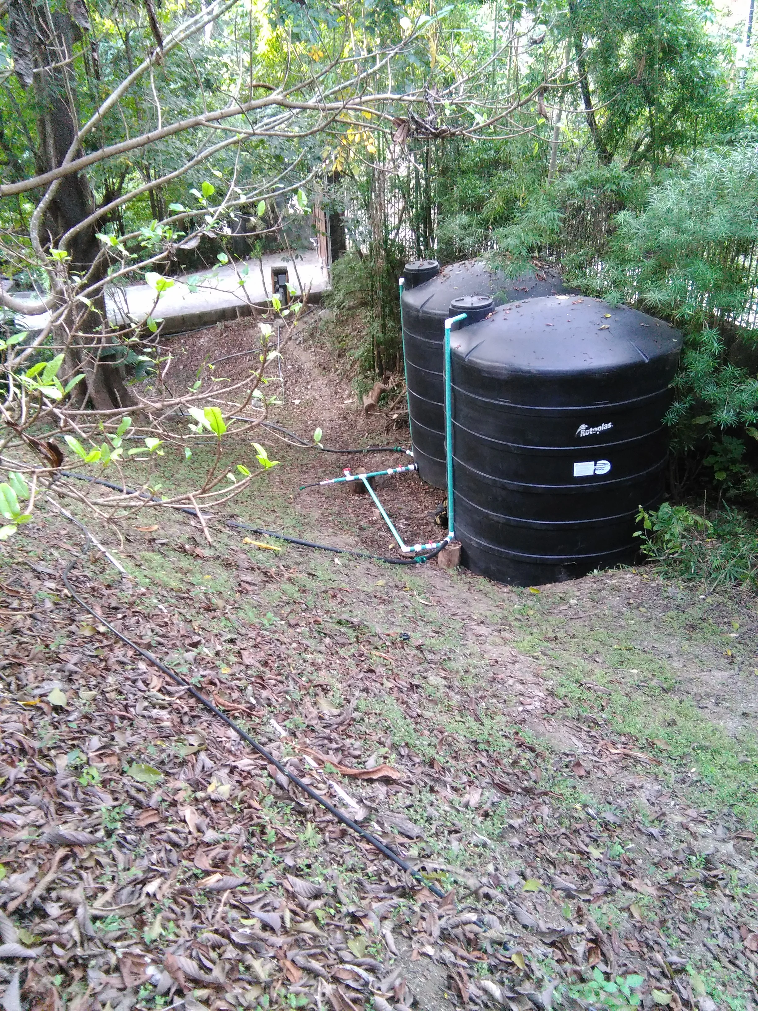 IMG_20161223_163748.jpg