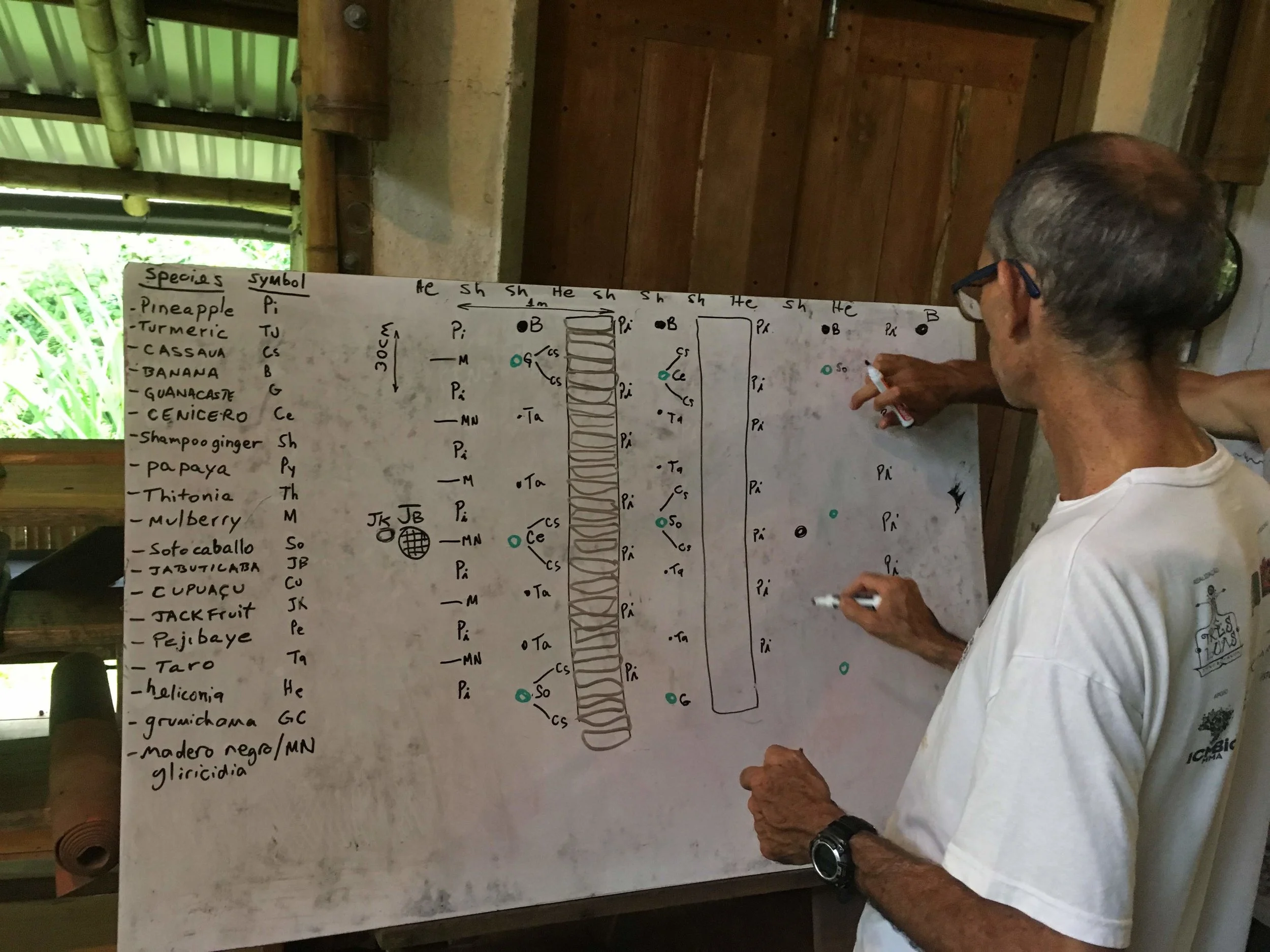 What Is Syntropic Farming A Permaculture Perspective