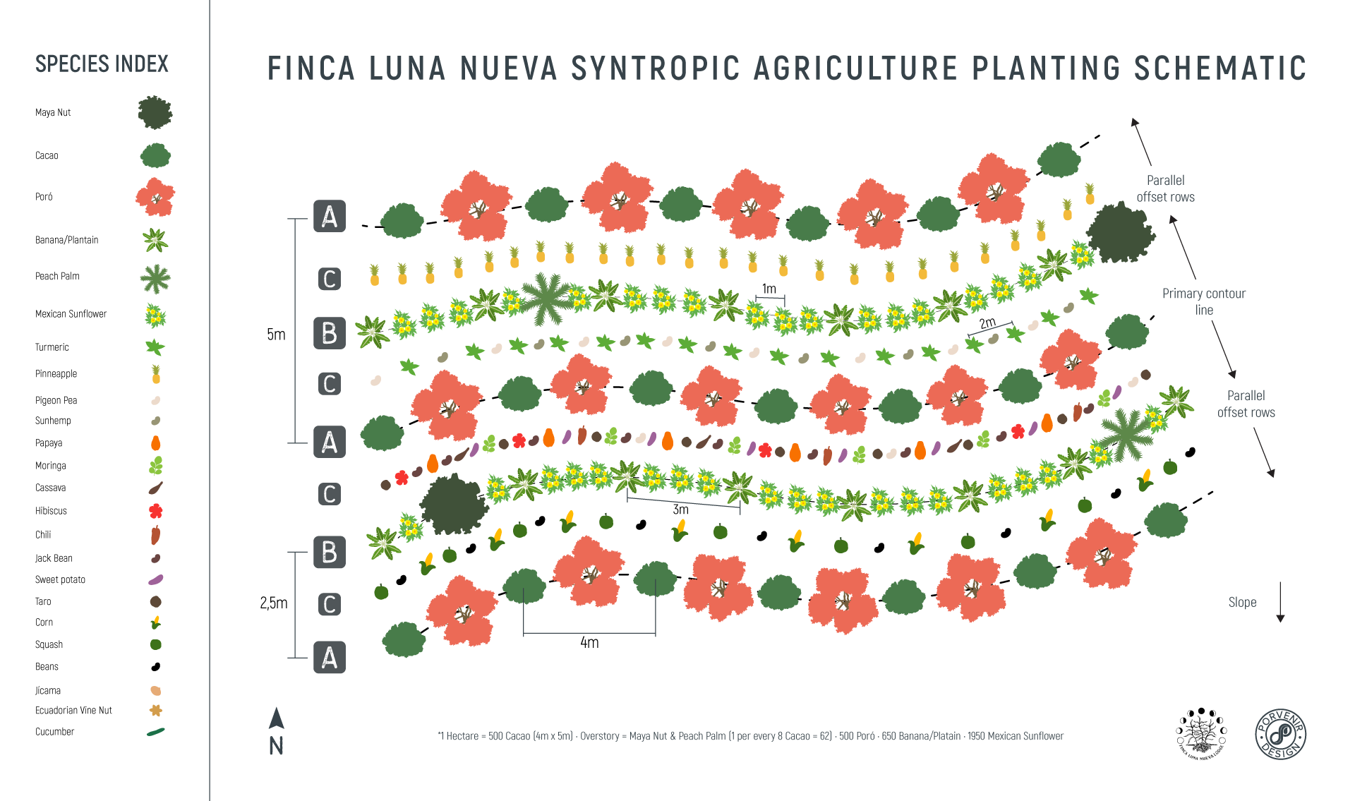 Syntropic Farming Costa Rica