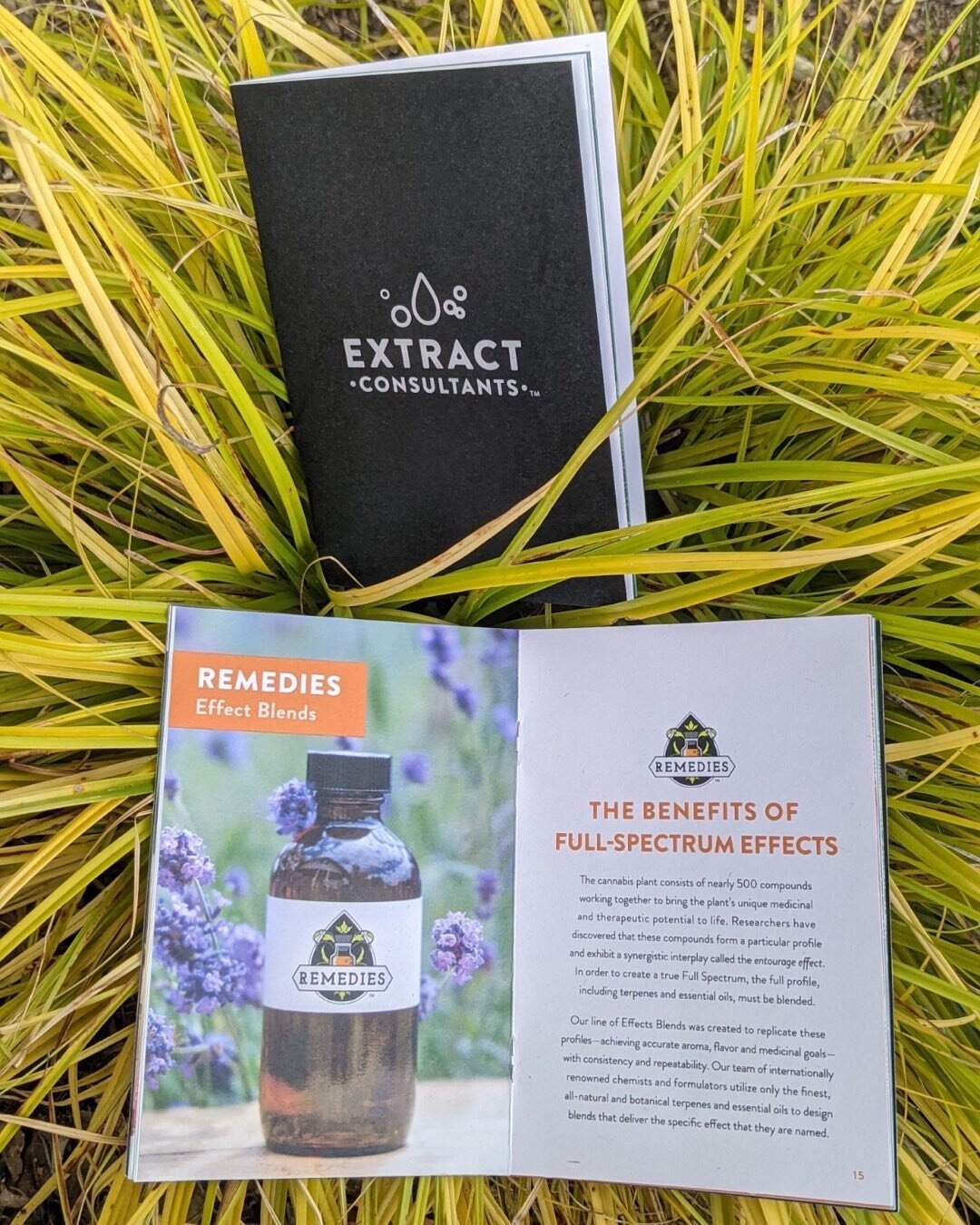 We were proud of this project printed on Mohawk Renewal paper made with 30% hemp fiber. The customer was looking for a fresh expression of responsible paper making. It looked good too!
#mohawkpaper #spicerspaper