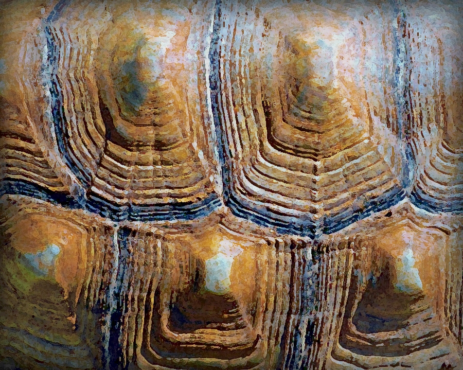 african-tortoise-shell-pattern-eric-lewis.jpg