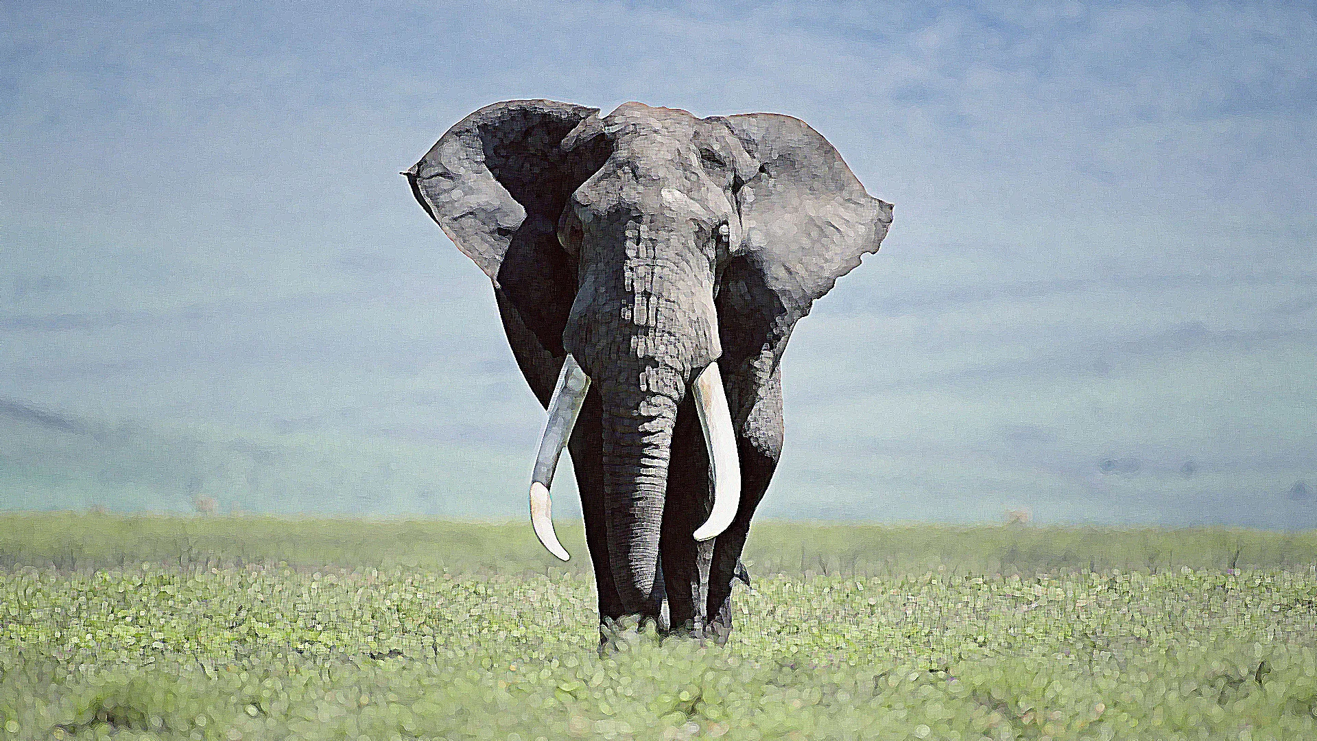 Elephant-HD-Wallpapers-Desktop-Pictures-2new.jpg