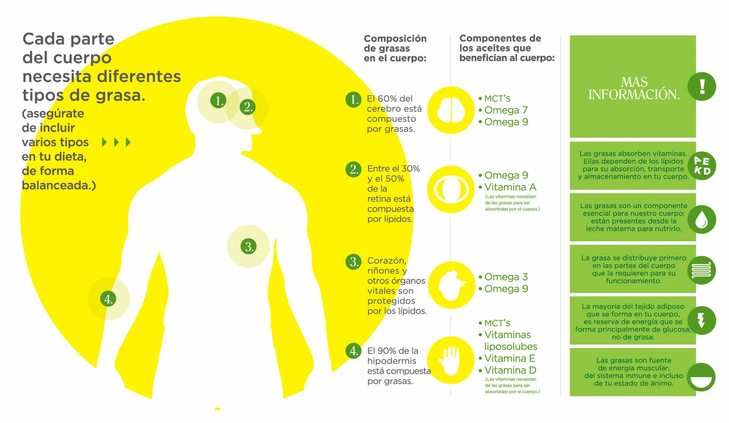 el+cuerpo,+el+aceite+y+sus+beneficios.jpg